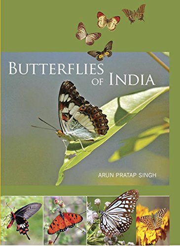BUTTERFLIES OF INDIA