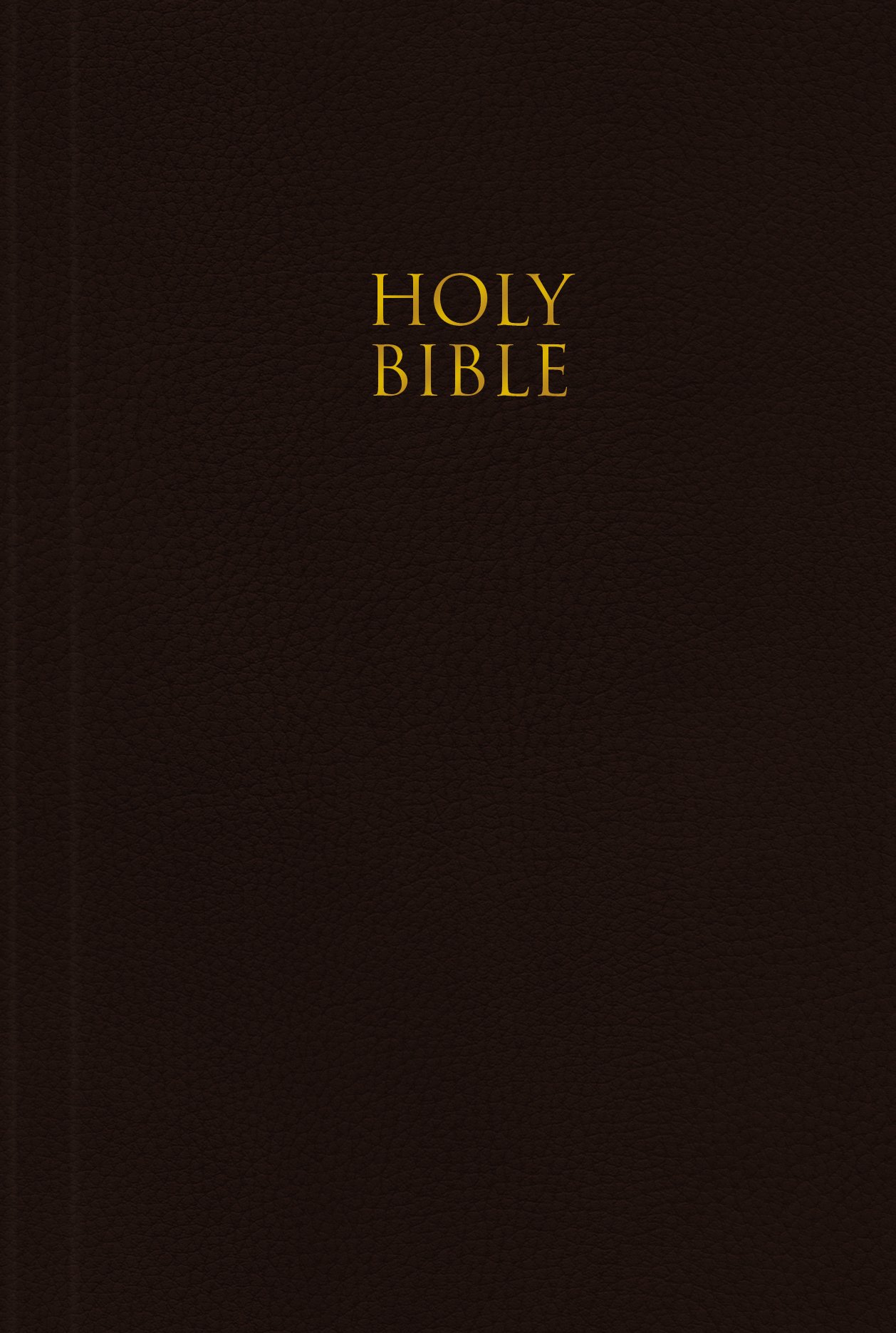 HOLY BIBLE