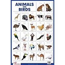 ANIMALS AND BIRDS