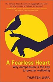 A FEARLESS HEART by THUPTEN JINPA why compassion is the key to greater wellbeing