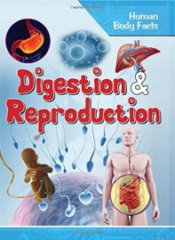Human Body Facts : DIGESTION & REPRODUCTION