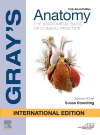 Gray's Anatomy International Edition 42e