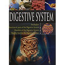 DIGESTIVE SYSTEM- HUMAN BODY-Includes Functions and Parts, Disorders, Healthy Food