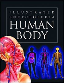 Illustrated Encyclopedia HUMAN BODY