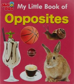 Mini Bus Series: My little book of OPPOSITES