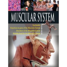 Human Body: MUSCULAR SYSTEM-Includes Functions & parts, Disorders, Healthy Food for the Muscular System