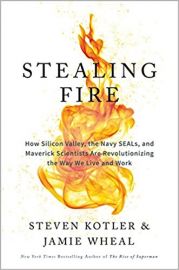 STEALING FIRE: How Silicon Valley, the Navy SEALs, and Maverick Scientists Are Revolutionizing the Way We Live and Work